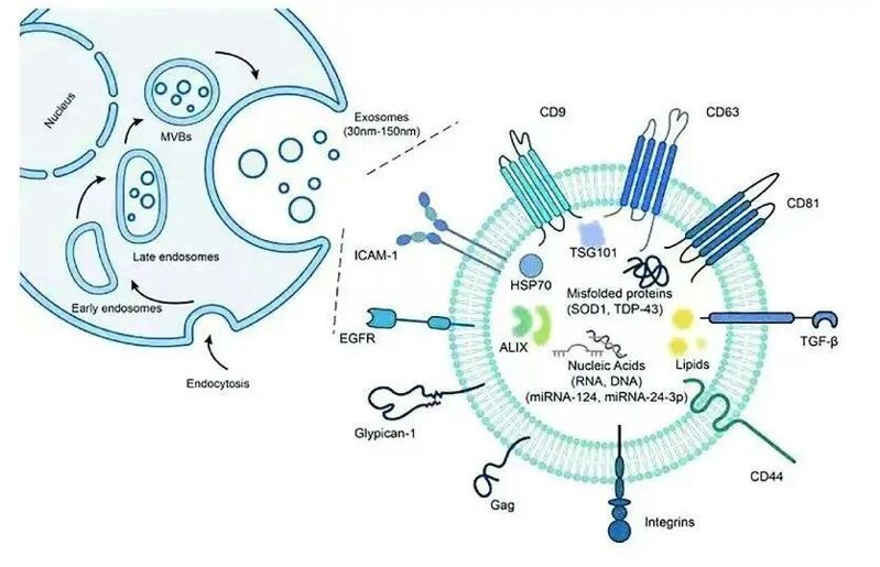微信图片_2025-08-04_152950_736 微信图片_2025-08-04_152950_736