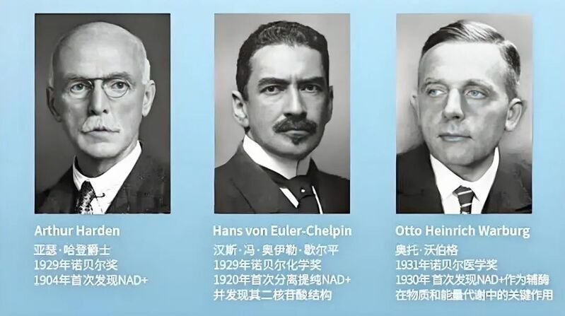 微信图片_2025-08-04_153703_989 微信图片_2025-08-04_153703_989