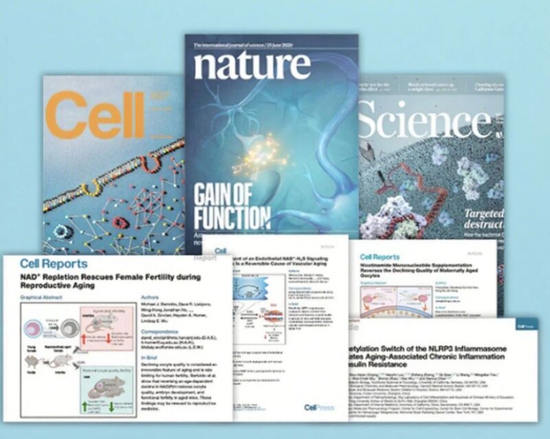 微信图片_2025-08-04_153706_340 微信图片_2025-08-04_153706_340