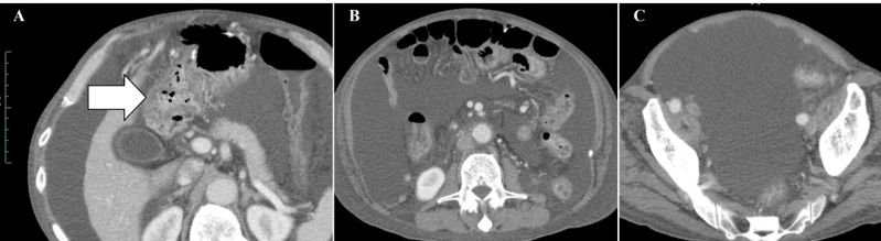 微信图片_2025-08-06_132239_557