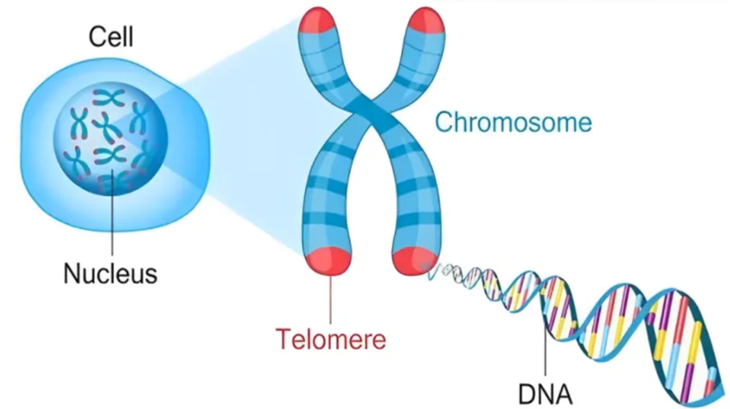 wechat_2025-08-13_162815_457 wechat_2025-08-13_162815_457