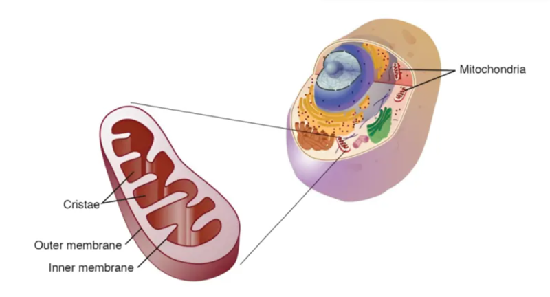 wechat_2025-08-13_163443_269 wechat_2025-08-13_163443_269