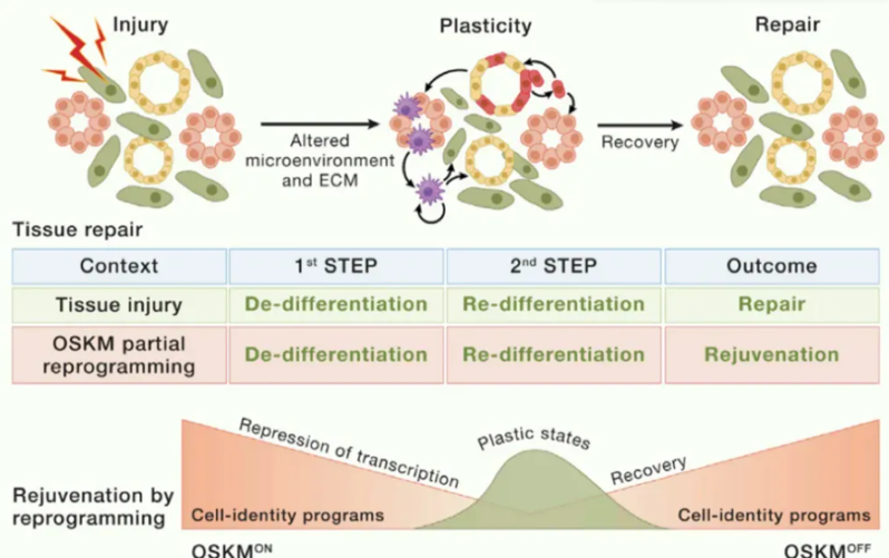 wechat_2025-08-13_163719_586 wechat_2025-08-13_163719_586