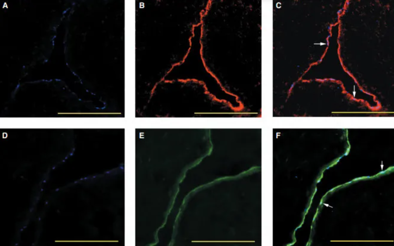 wechat_2025-08-21_143258_932 wechat_2025-08-21_143258_932