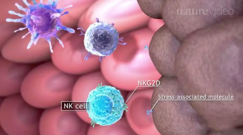 wechat_2025-08-21_144036_237 wechat_2025-08-21_144036_237