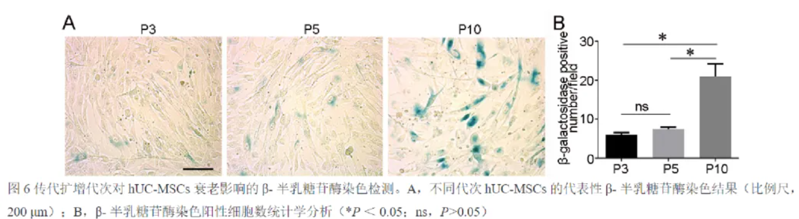 wechat_2025-09-12_151259_532 wechat_2025-09-12_151259_532